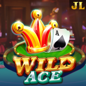 Wild Ace Bingo Plus slot